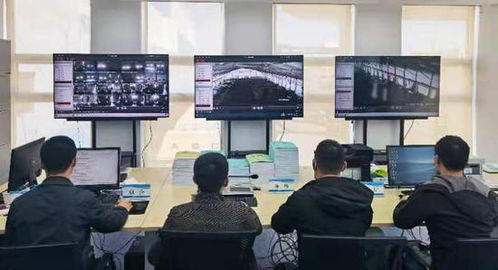 大连自贸片区创新引领 全国首例进口冷链食品防疫监管配套标准正式实施